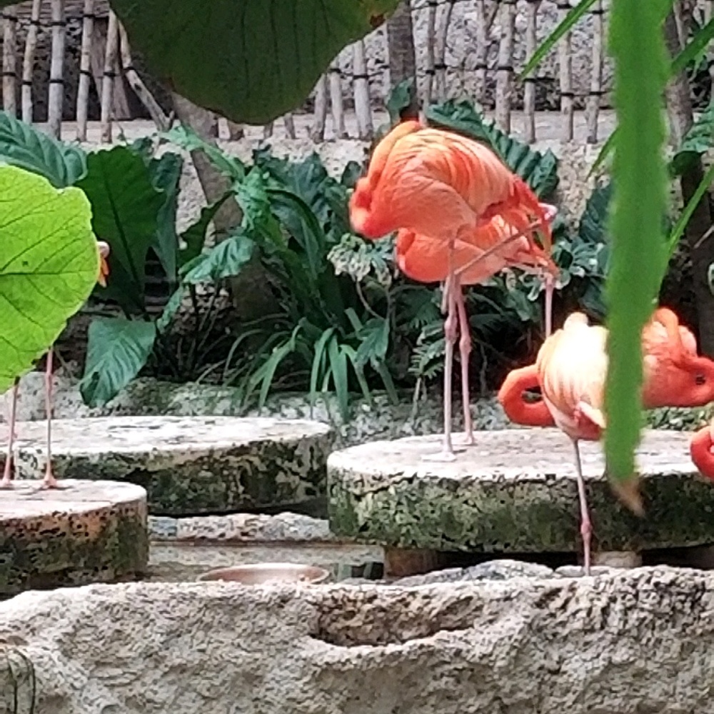 Meet your Posher, Charleen